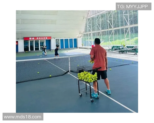 南京网球队的灵活性探讨与发展策略分析