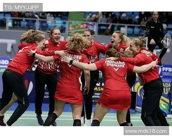 成都羽毛球队在欧锦赛中的比赛经验与表现分析