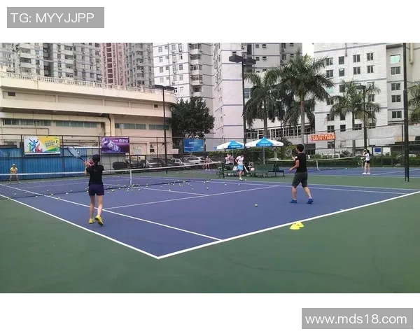 深圳网球队逆袭之路冠军赛特别报道展现团队精神与奋斗历程