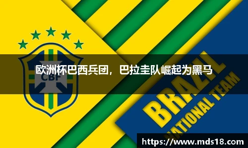 欧洲杯巴西兵团，巴拉圭队崛起为黑马