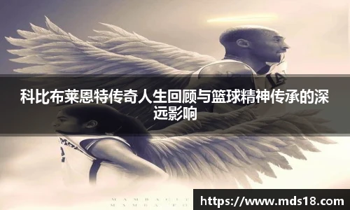 yy体育