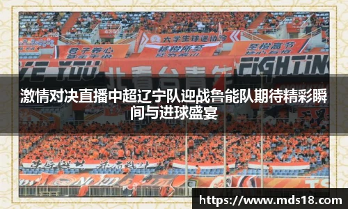 激情对决直播中超辽宁队迎战鲁能队期待精彩瞬间与进球盛宴